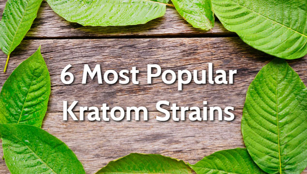 6 Most Popular Kratom Strains in 2025