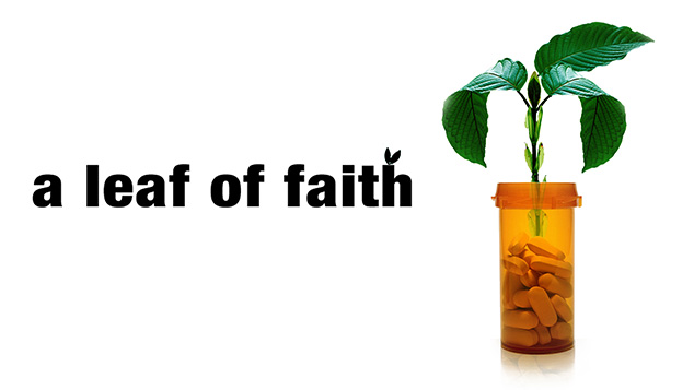 A Leaf of Faith: Documentary Review